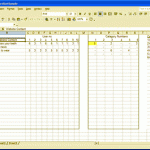 Card sort analysis using a spreadsheet